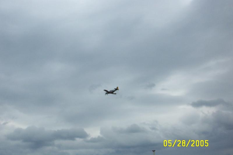 P51-D in flight.JPG